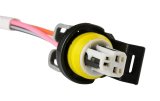 Earl's Performance LT Gen-V Oil Pressure Sensor Kits LT0004ERL Fuel Injection System Components, Kits, Includes Adapter Fitting Female NPT 1/8 in. To Male Threads M12 x 1.75, Kit thumbnail 3