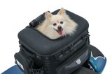 Kuryakyn Grand Pet Palace Bags 5288 Saddle Bags, Bags, Luggage , 1,200 Denier, Black, Universal, Each thumbnail 2