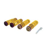 KW HAS Coilover Kits for 2008-2015 R8 - 25310188 H.A.S., Audi (42); all models; all engines thumbnail 4