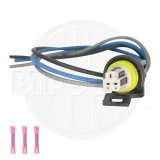 Bostech Exhaust Back Pressure Sensors WH02614 Backpressure Sensor, thumbnail 4