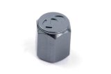 Dinan Valve Stem Caps D757-0009 Caps, Logo, Aluminum, Gunmetal Anodized, Set of 4 thumbnail 2