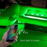 XK Glow XKchrome Marine Interior LED Accent Light Kits XK-BOAT-PRO Lights, LED, Multicolor, Clear Silicone Housing, On/Off Wiring Harness, One BLE 4.0 App Controller, Kit thumbnail 6