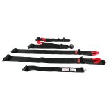 G-FORCE Camlock 5-Point Harness 7000BK Harness, 5-point, Complete, Camlock, Individual-Type, Bolt-In, Floor/Roll Bar Mount, Black, Each thumbnail 1