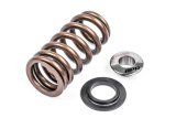APR Valve Spring and Retainer Kits MS100258 Springs, Retainer, Single Spring, Titanium Retainer, Seal, Audi, Bentley, Lamborghini, Porsche, Volkswagen, Kit thumbnail 1