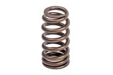 APR Valve Spring and Retainer Kits MS100258 Springs, Retainer, Single Spring, Titanium Retainer, Seal, Audi, Bentley, Lamborghini, Porsche, Volkswagen, Kit thumbnail 2
