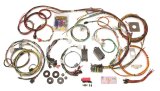 Painless Performance 22-Circuit 1965-66 Mustang Chassis Harnesses for 1965-1966 MUSTANG - 20120 Wiring Harness, 22-Circuit, Dash Ignition, Front Mount Fuse Block, Spade Fuse, Ford, Kit thumbnail 1
