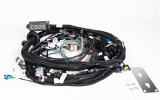 HP Tuners CORE LS Drive-By-Cable ECU Harnesses COR-HAR-001 Wiring Harnesses, ECU, Terminated, Drive-By-Cable, Chevrolet, Gen III LS, LSX, 24X/1X Main Harness, Each thumbnail 2