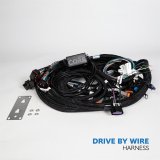 HP Tuners CORE LS Drive-By-Wire ECU Harnesses COR-HAR-002 Wiring Harnesses, ECU, Terminated, Drive-By-Wire, Chevrolet, Gen IV LS, LSX, 58X/4X Main Harness, Each thumbnail 1