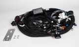 HP Tuners CORE LS Drive-By-Wire ECU Harnesses COR-HAR-002 Wiring Harnesses, ECU, Terminated, Drive-By-Wire, Chevrolet, Gen IV LS, LSX, 58X/4X Main Harness, Each thumbnail 2
