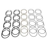 Hastings Piston Ring Sets 5615 Rings, Sets, Phosphate Coated, 4.000 in. Bore, 5/64 in., 5/64 in., 3/16 in. Thickness, L8, V8, Set of 8 thumbnail 1
