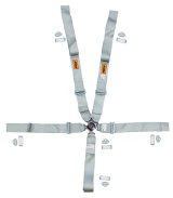 RCI Platinum Series Racing 5-Point Harness 9210CPL Harness, Complete, Camlock, Individual-Type, Bolt-In, Wraparound, Floor/Roll Bar Mount, Platinum, Each thumbnail 2