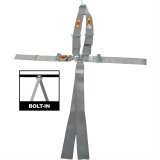 RCI Platinum Series Racing 5-Point Harness 9211PL Harness, Complete, Latch, V-Type, Bolt-In, Floor/Roll Bar Mount, Platinum, Each thumbnail 1