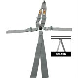 RCI Platinum Series Racing 5-Point Harness 9211CPL Harness, Complete, Camlock, V-Type, Bolt-In, Floor/Roll Bar Mount, Platinum, Each thumbnail 1