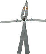 RCI Platinum Series Racing 5-Point Harness 9211CPL Harness, Complete, Camlock, V-Type, Bolt-In, Floor/Roll Bar Mount, Platinum, Each thumbnail 3