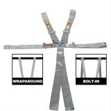 RCI Platinum Series Racing 6-Point Harness 9210PL Harness, Complete, Latch, Individual-Type, Bolt-In, Floor/Roll Bar Mount, Platinum, Each thumbnail 1