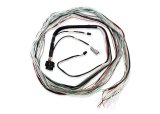 FuelTech FT600 Unterminated Harnesses 2001004003 UNTERMINATED HARNESS 20FT thumbnail 1