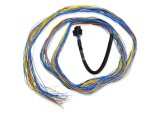 FuelTech FT600 Unterminated Harnesses 2001004001 UNTERMINATED HARNESS 10FT thumbnail 1