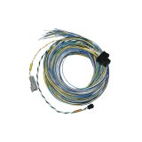 FuelTech FT550 B Unterminated Harnesses 2001005572 UNTERMINATED HARNESS 20FT thumbnail 2