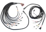 FuelTech PRO550/600 FTSPARK-8 Harnesses 2002100142 PRO5500/600 COMPLETE HARNESS thumbnail 1