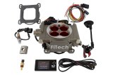 FiTech Go Street EFI 400 HP Self-Tuning Fuel Injection Systems 30003 System, 400HP Self-Tuning, Throttle Body, ECM, Kit thumbnail 8