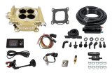 FiTech Easy Street 600 HP EFI System Fuel Injection Master Kits 31005 System, Street, Gold Throttle Body, Self Tuning, Up to 600HP, Inline Pump, Kit thumbnail 2
