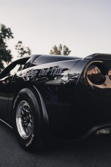 Aldan American Road Comp Coilover Kits for 1997-2013 CORVETTE - C56SBR2L Kit, Rear, Single Adjustable, 450 lbs. Springs, Chevy, Kit thumbnail 5