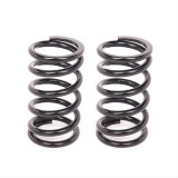 Aldan American 6 Inch Coil Spring 6-600BK2 Coil-Over-Spring, 600 lbs./in. Rate, in. Length, 2.5 in. I.D. Black, Pair thumbnail 1