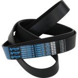 Dayco Supercharger Belts for 2007-2014 MUSTANG - 5100837SC Ford Mustang GT500, 2012-2014, 5.8 POLY Rib Belt thumbnail 2