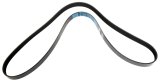 Dayco Supercharger Belts for 2012-2015 CAMARO, 2011-2015 CTS - A080661SC Chevrolet Camaro ZL1, 2012-2015, 6.2 POLY Rib Belt thumbnail 1