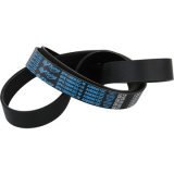 Dayco Supercharger Belts for 2012-2015 CAMARO, 2011-2015 CTS - A080661SC Chevrolet Camaro ZL1, 2012-2015, 6.2 POLY Rib Belt thumbnail 2