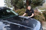 California Car Duster Double Twist Microfiber Drying Towels 20308 Towel, Microfiber, Black, 30 in. x 20 in., Each thumbnail 3