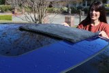 California Car Duster Double Twist Microfiber Drying Towels 20308 Towel, Microfiber, Black, 30 in. x 20 in., Each thumbnail 5