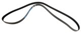 Dayco Supercharger Belts 5080750SC Ford Cobra Mustang 03-04, 2003-2004, 4.6 POLY Rib Belt thumbnail 1