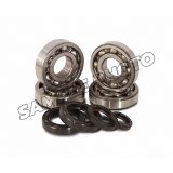 Hot Rods 08-13 YFM 250 Raptor Main Bearing & Seal Kit thumbnail 1