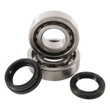 Hot Rods 04-05 Honda TRX 450 ER 450cc Main Bearing & Seal Kit thumbnail 1