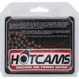 Hot Cams 1979-1985 Honda ATC 110 110cc Roller chain thumbnail 3