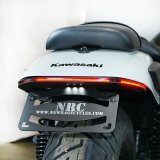 New Rage 2024+ Kawasaki Eliminator 450 Fender Eliminator Kit thumbnail 1