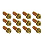 Spectre Header Bolts w/Tool - 7/8in. thumbnail 1