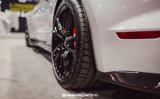 Anderson Composites 2020 Ford Mustang/Shelby GT500 Carbon Fiber Rear Mud Guards thumbnail 9