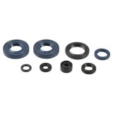 Athena 00-24 Kawasaki KX 65 Engine Oil Seal Kit thumbnail 1