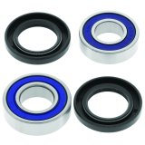 QuadBoss 06-20 Can-Am DS 250 Lower Steering Bearing Kit thumbnail 1