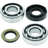 QuadBoss 04-07 Polaris Predator 50 Crankshaft Bearing & Seal Kit thumbnail 1