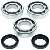 QuadBoss 99-06 Polaris Trail Blazer 250 Crankshaft Bearing & Seal Kit thumbnail 1