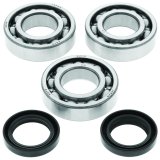 QuadBoss 99-06 Polaris Trail Blazer 250 Crankshaft Bearing & Seal Kit thumbnail 2