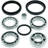 QuadBoss 2012 Arctic Cat 1000 TRV GT Rear Differential Bearing & Seal Kit thumbnail 1