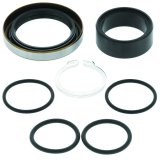 QuadBoss 08-10 Can-Am DS 450 Countershaft Bushing & Seal Kit thumbnail 2