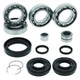 QuadBoss 15-19 Honda TRX420FA FourTrax Rancher 4x4 AT IRS Front Differential Bearing & Seal Kit thumbnail 2