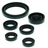 QuadBoss 04-13 Yamaha YFZ450 Oil Seal Set thumbnail 1