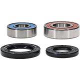 Pivot Works Premium Wheel Bearing thumbnail 1
