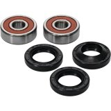 Pivot Works Premium Wheel Bearing thumbnail 4